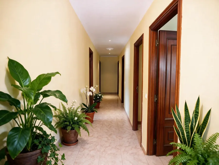 Pasillo interior con plantas